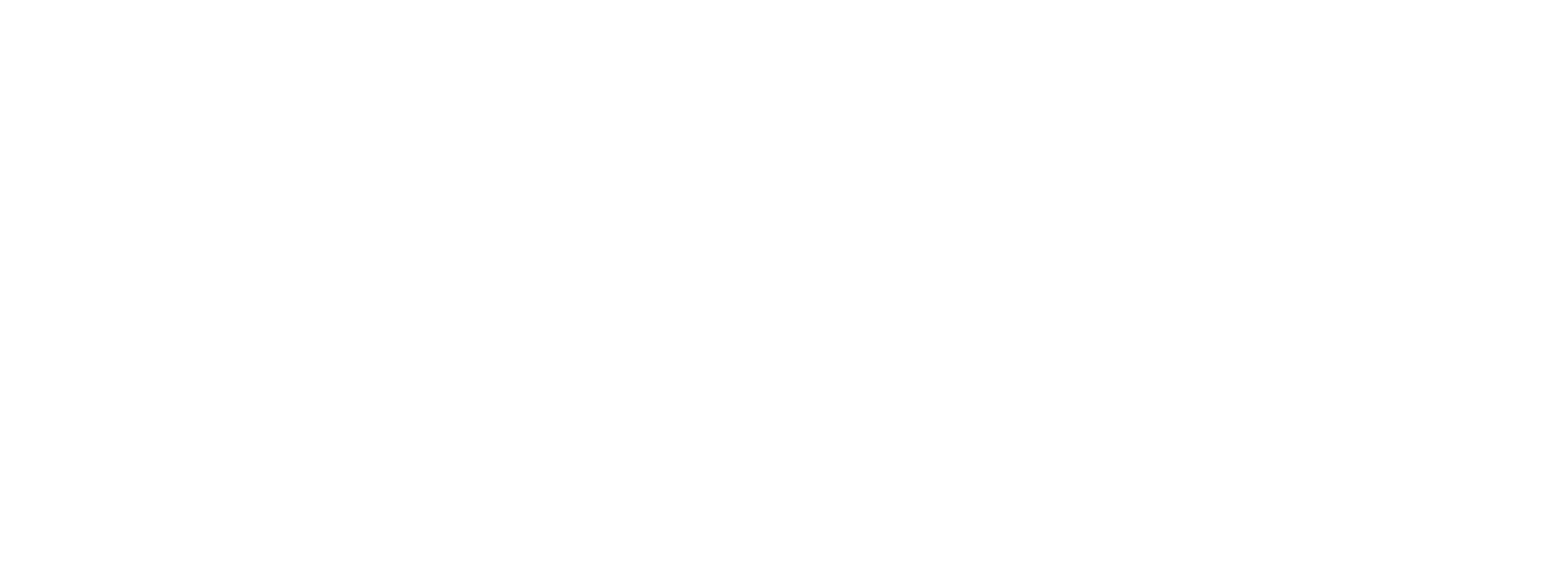 2020 MLS Final